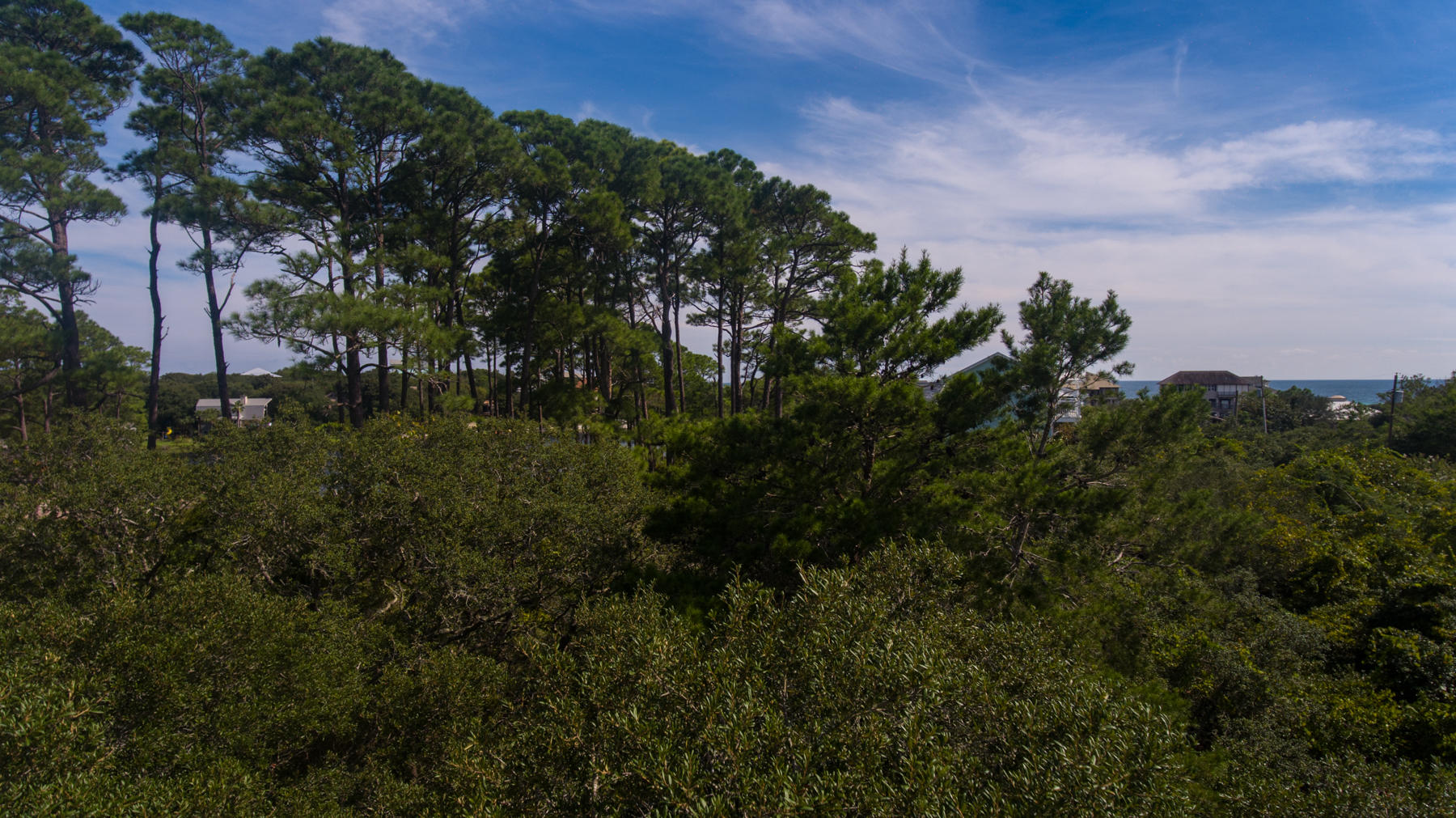 Lot 10 Loon Lake Drive Santa Rosa Beach, FL 32459 - Photo 39 of 49 a view of a bunch of trees
