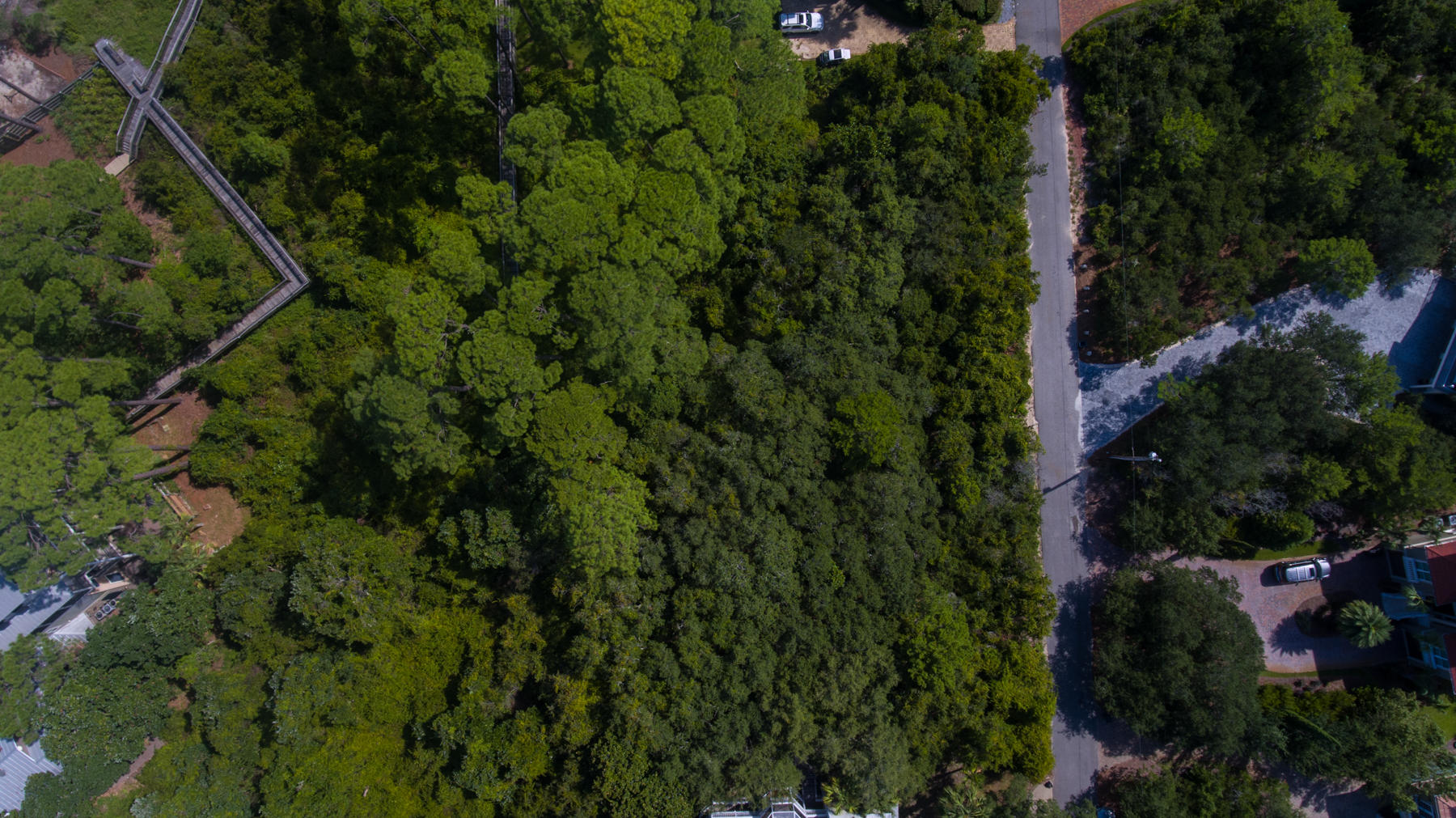 Lot 10 Loon Lake Drive Santa Rosa Beach, FL 32459 - Photo 40 of 49 a view of a forest with a tree