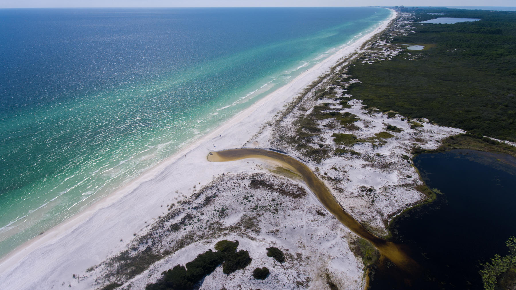 Lot 10 Loon Lake Drive Santa Rosa Beach, FL 32459 - Photo 47 of 49 a view of a backyard with a garden