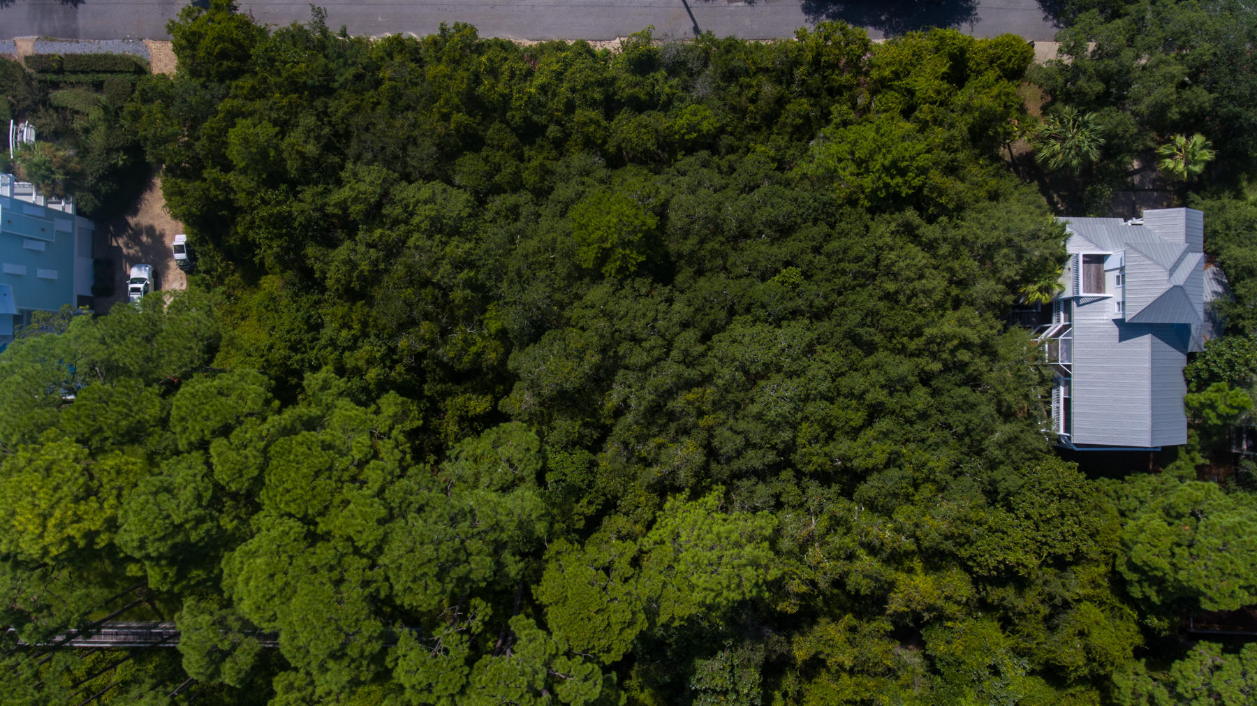 Lot 10 Loon Lake Drive Santa Rosa Beach, FL 32459 - Photo 48 of 49 an aerial view of a house with a yard