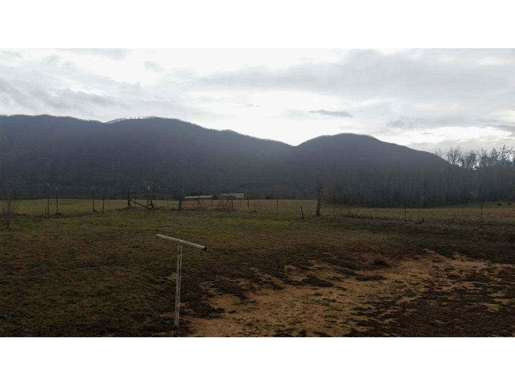 998 Gosnell Susong Road Greeneville, TN 37743 - Photo 16 of 18 View