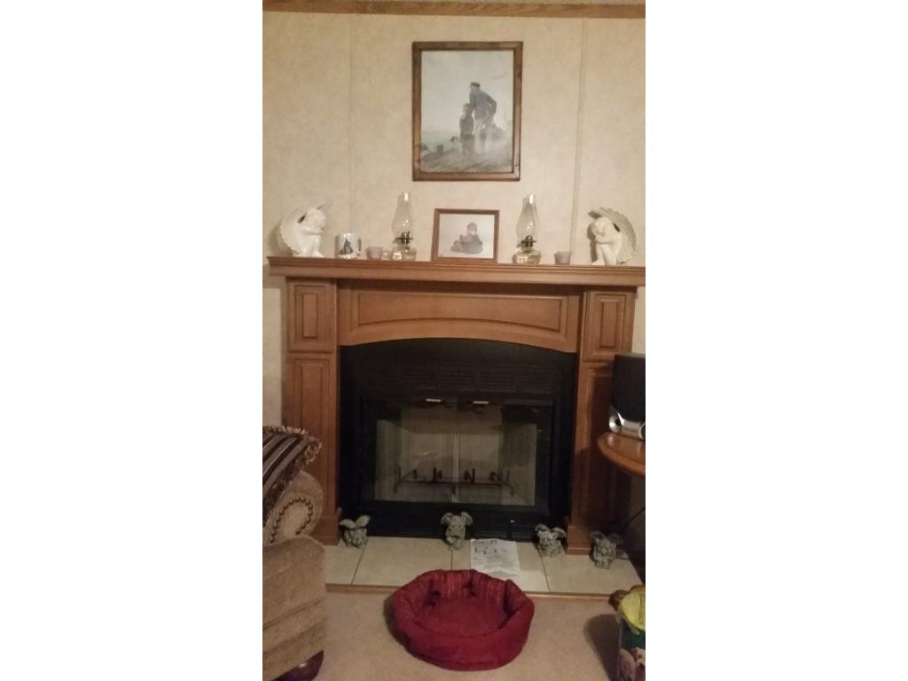 998 Gosnell Susong Road Greeneville, TN 37743 - Photo 6 of 18 Fireplace