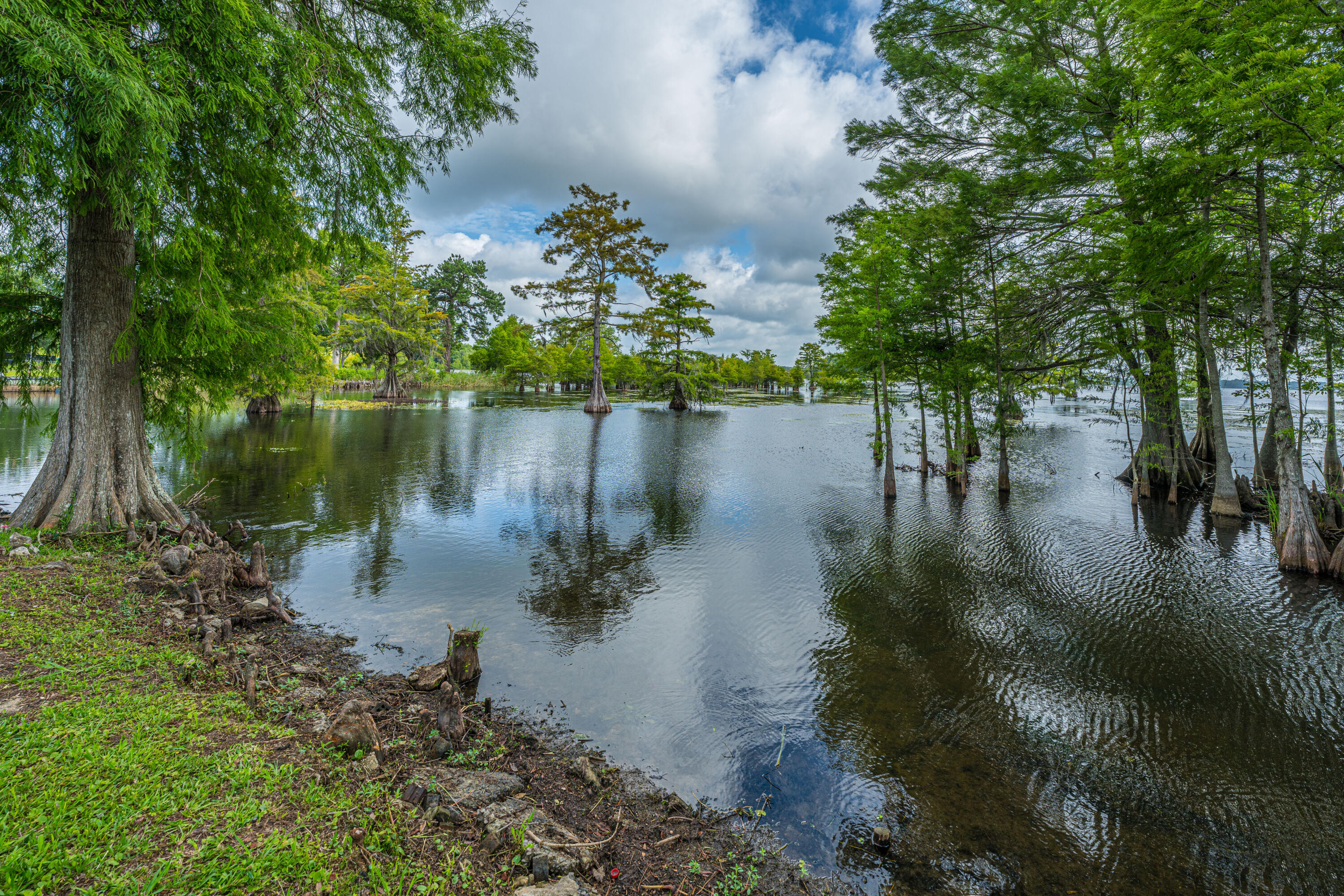1232 Longpoint Road Cross, SC 29436 - Photo 47 of 64 1232LongpointRd054