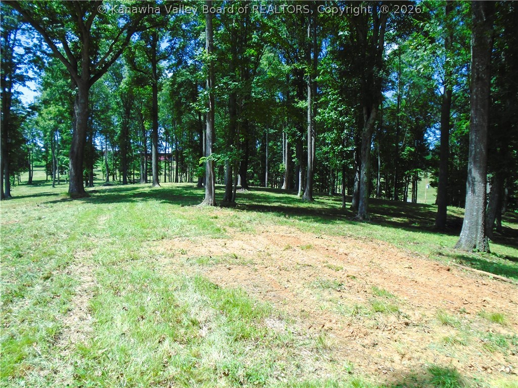4032 Millstone Road Apple Grove, WV 25502 - Photo 4 of 11 Gallery Image 4