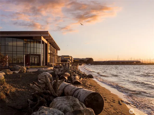 a row of palm trees in front of a building
