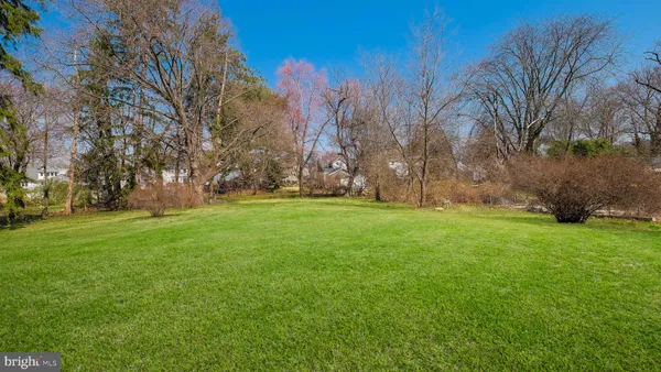 a view of yard with green space