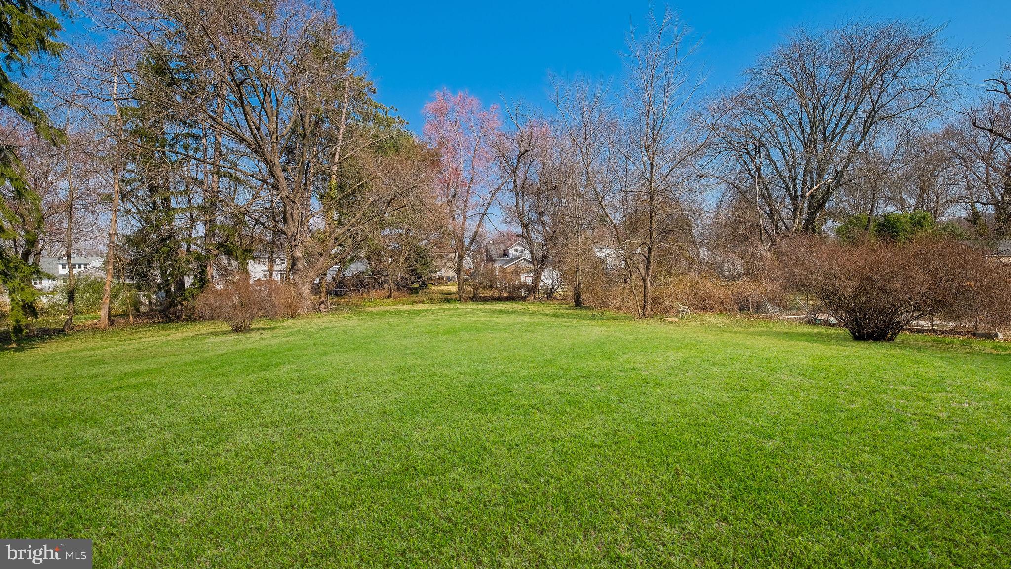 2473 Susquehanna Road Abington, PA 19001 - Photo 43 of 46 a view of yard with green space