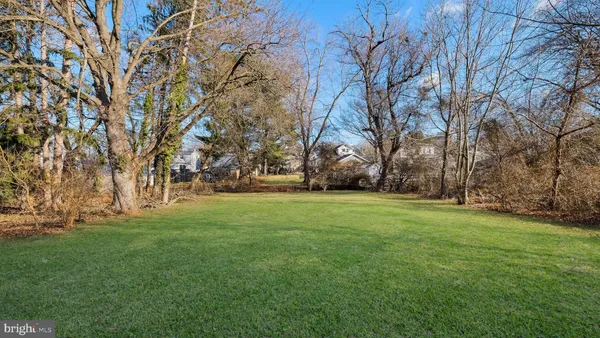 a huge green field with lots of trees