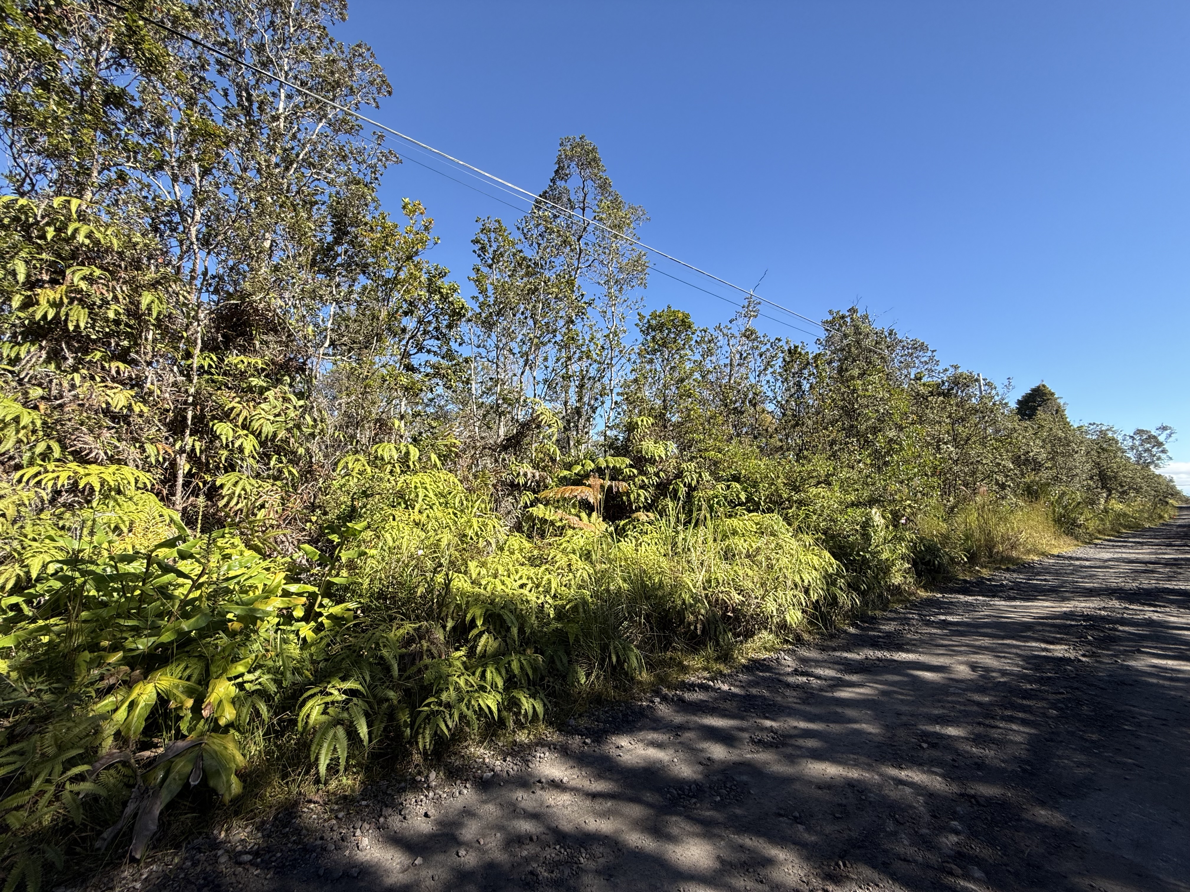 8622 Nalehua Road Volcano, HI 96778 - Photo 5 of 6 Gallery Image 5