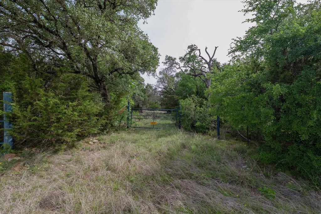 Tbd Mustang Road Purmela, TX 76566 - Photo 4 of 11 a view of a forest with trees in the background