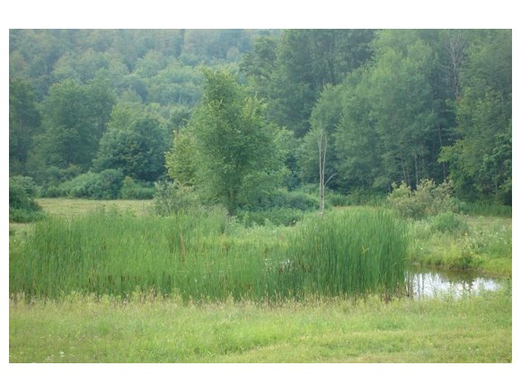 340 Anderson Road Whitney Point, NY 13862 - Photo 1 of 5 Gallery Image 1