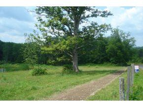 340 Anderson Road Whitney Point, NY 13862 - Photo 2 of 5 Gallery Image 2