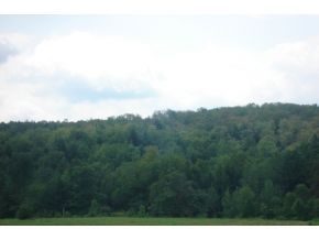 340 Anderson Road Whitney Point, NY 13862 - Photo 4 of 5 Gallery Image 4
