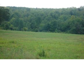 340 Anderson Road Whitney Point, NY 13862 - Photo 5 of 5 Gallery Image 5