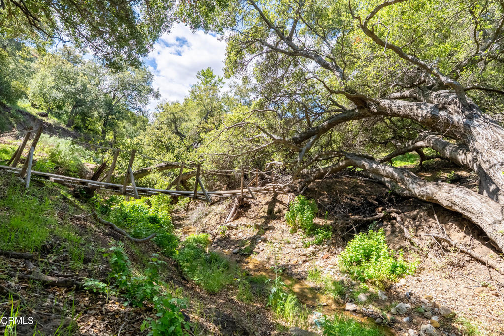 13100 Browns Canyon Road Chatsworth, CA 91311 - Photo 4 of 22 7