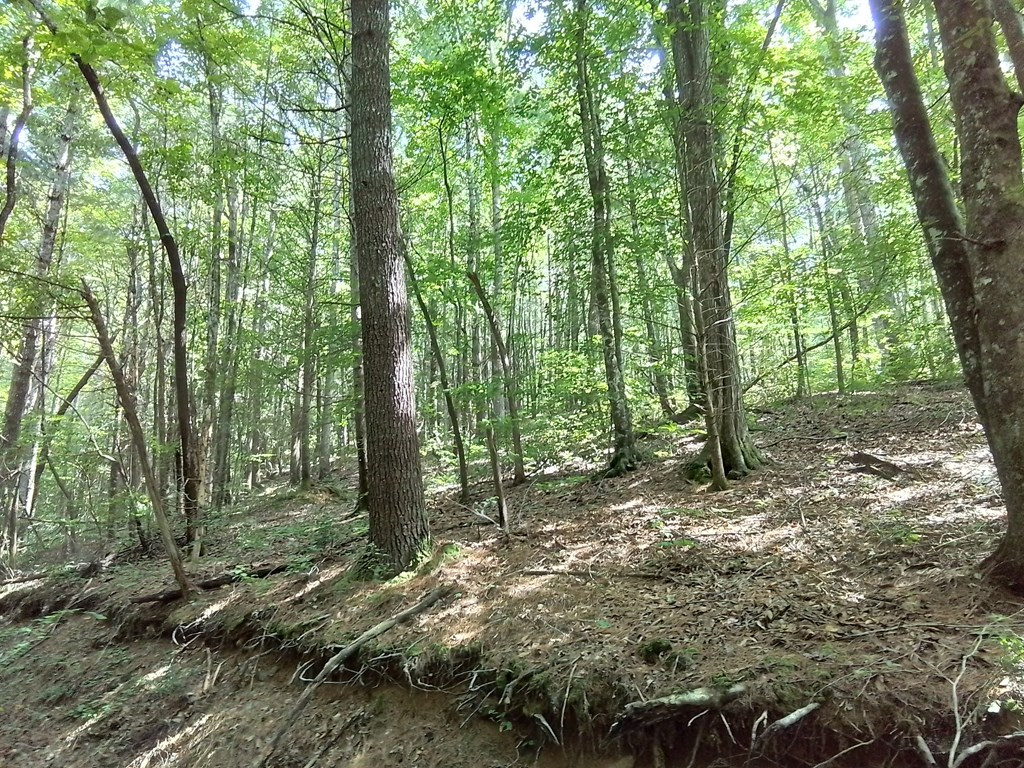 1378 S Morrow Road Murphy, NC 28906 - Photo 14 of 27