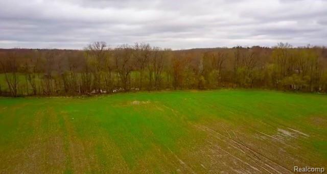 0 Iosco Road Webberville, MI 48836 - Photo 7 of 9