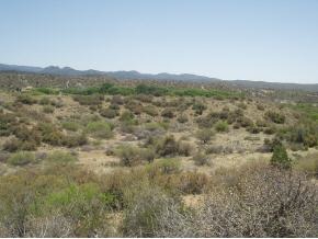 0 Iron Springs Road Skull Valley, AZ 86338 - Photo 1 of 2 Primary Photo