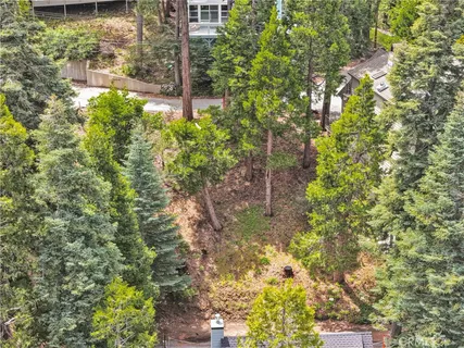 a view of a yard