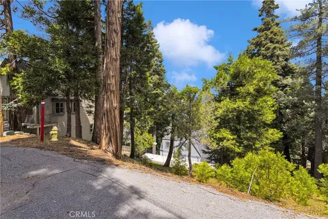 a view of a backyard with large trees