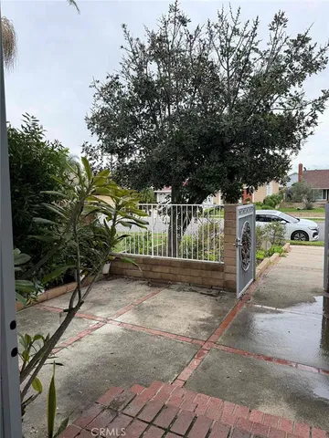 a view of a yard with plants and trees