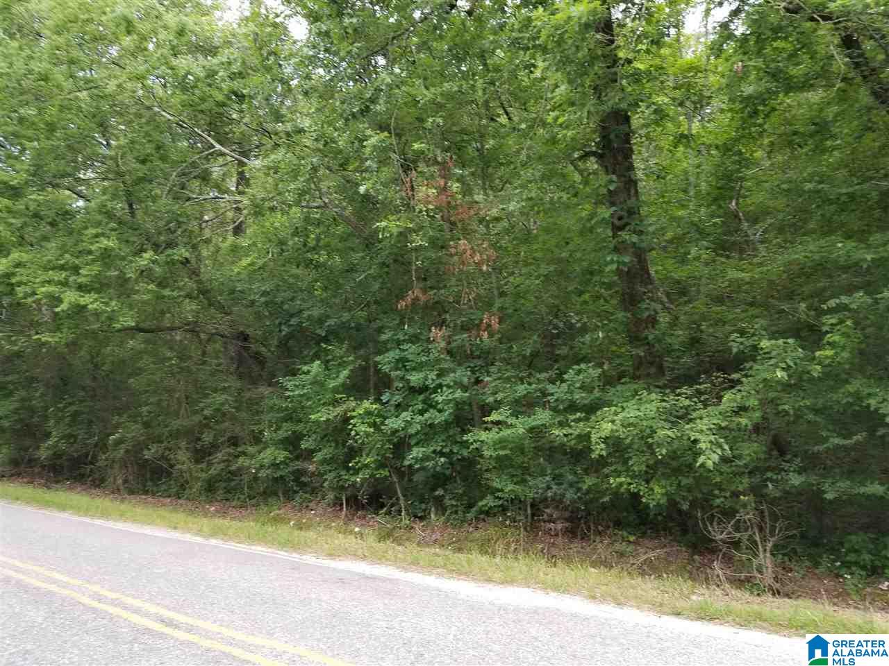 0 Rocky Hollow Road, Unit 12 Jacksonville, AL 36265 - Photo 10 of 15