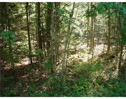 165 A Dana Mill Road Woolwich, ME 04579 - Photo 1 of 3 Land.