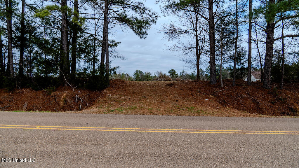 5 Lottville Road Canton, MS 39046 - Photo 2 of 15 01