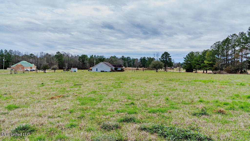5 Lottville Road Canton, MS 39046 - Photo 7 of 15 06