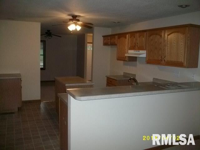 3554 Robin Road Salem, IL 62881 - Photo 4 of 16