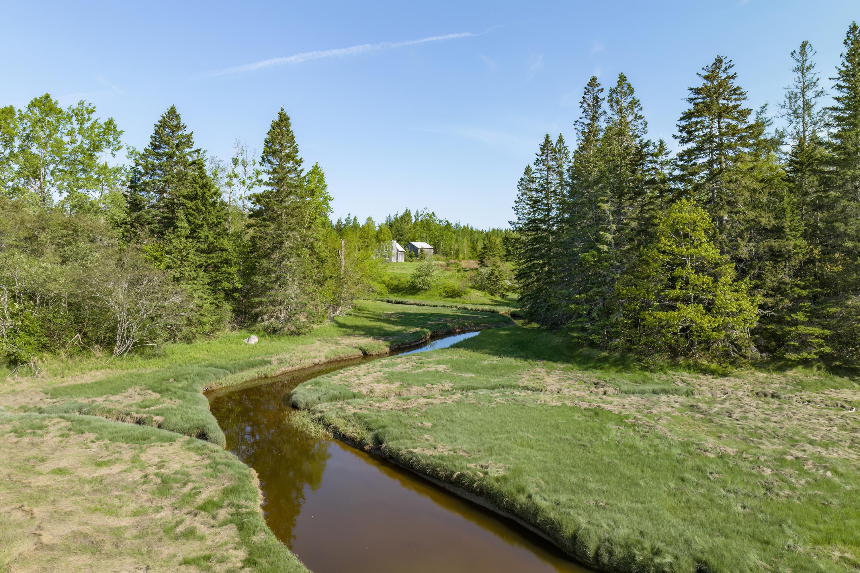 65 Asa Dyer Brook Road Steuben, ME 04680 - Photo 4 of 46 23-65 Asa Dyer Brook Road HiRes-DTP