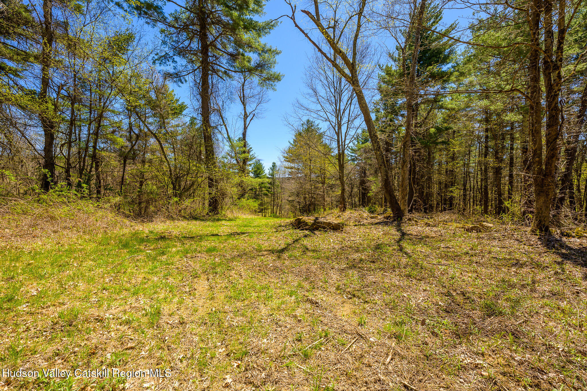 0 Mitchell Street Hillsdale, NY 12529 - Photo 26 of 31 *