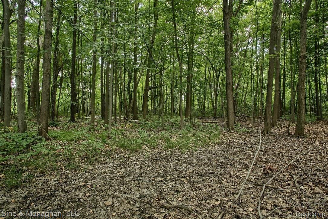 4765 Ketchum Road St. Clair, MI 48079 - Photo 27 of 28 Backyard_2nd_View.jpg