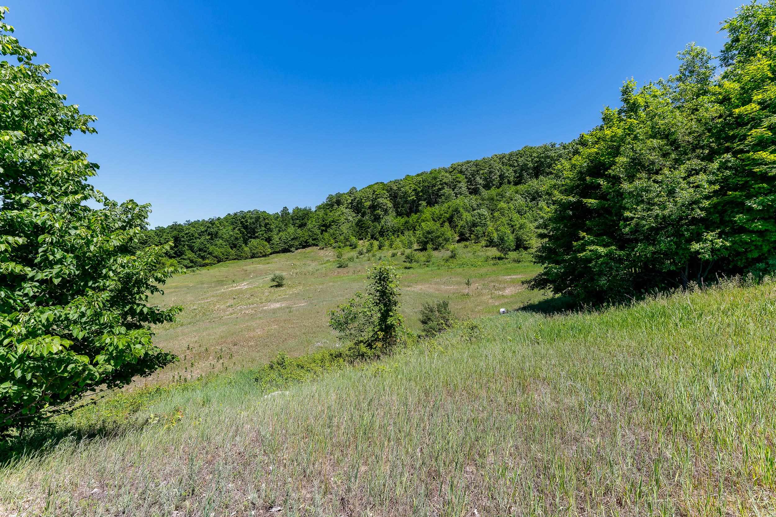 0 Nessen City Road Copemish, MI 49625 - Photo 6 of 17