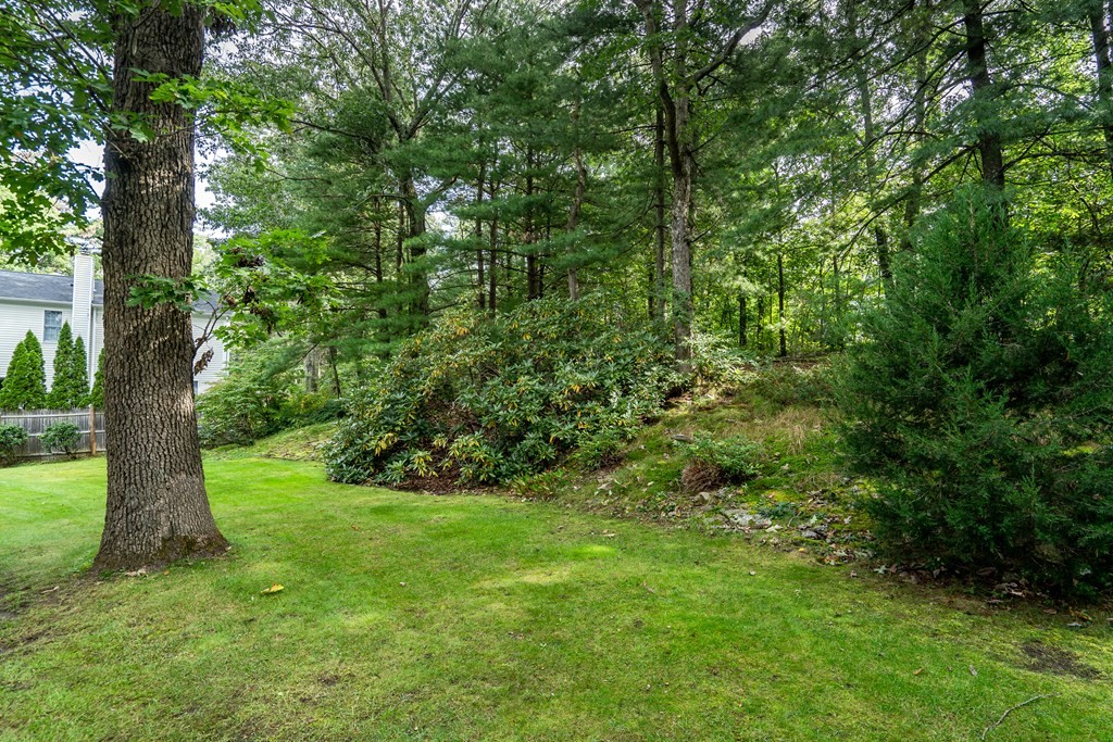 25 Fair Oaks Drive Lexington, MA 02421 - Photo 26 of 27 a view of a yard with a tree