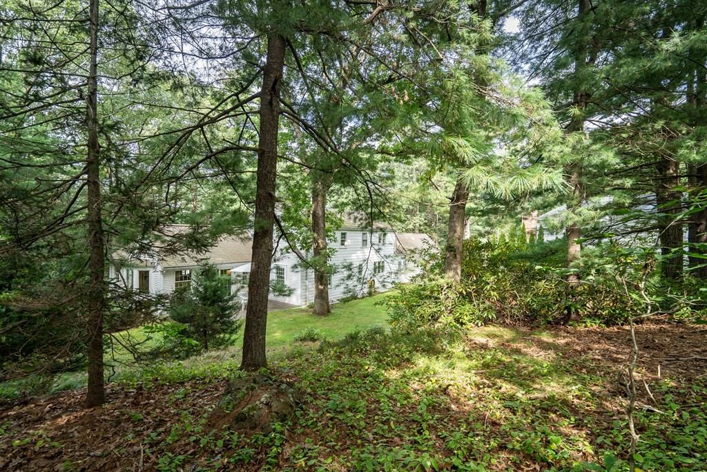 25 Fair Oaks Drive Lexington, MA 02421 - Photo 27 of 27 a view of forest