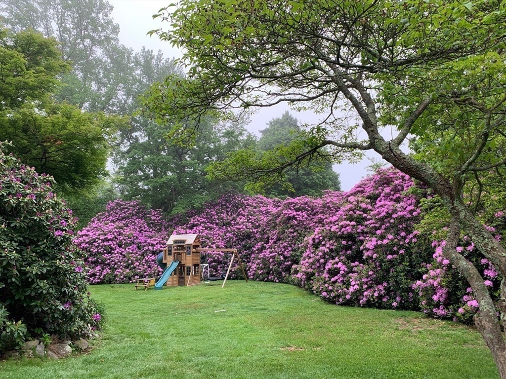 630 Brush Hill Road Milton, MA 02186 - Photo 36 of 41 a view of a backyard