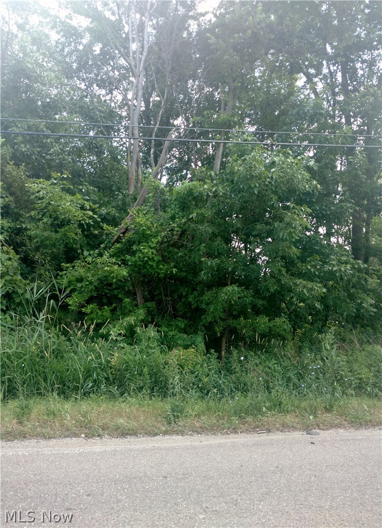 V/l Barber Road Barberton, OH 44203 - Photo 1 of 1 Gallery Image 1