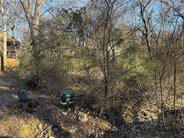 a view of a forest filled with trees