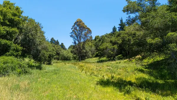 a view of a green field