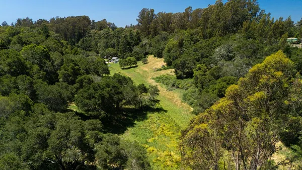 a view of a forest with a house