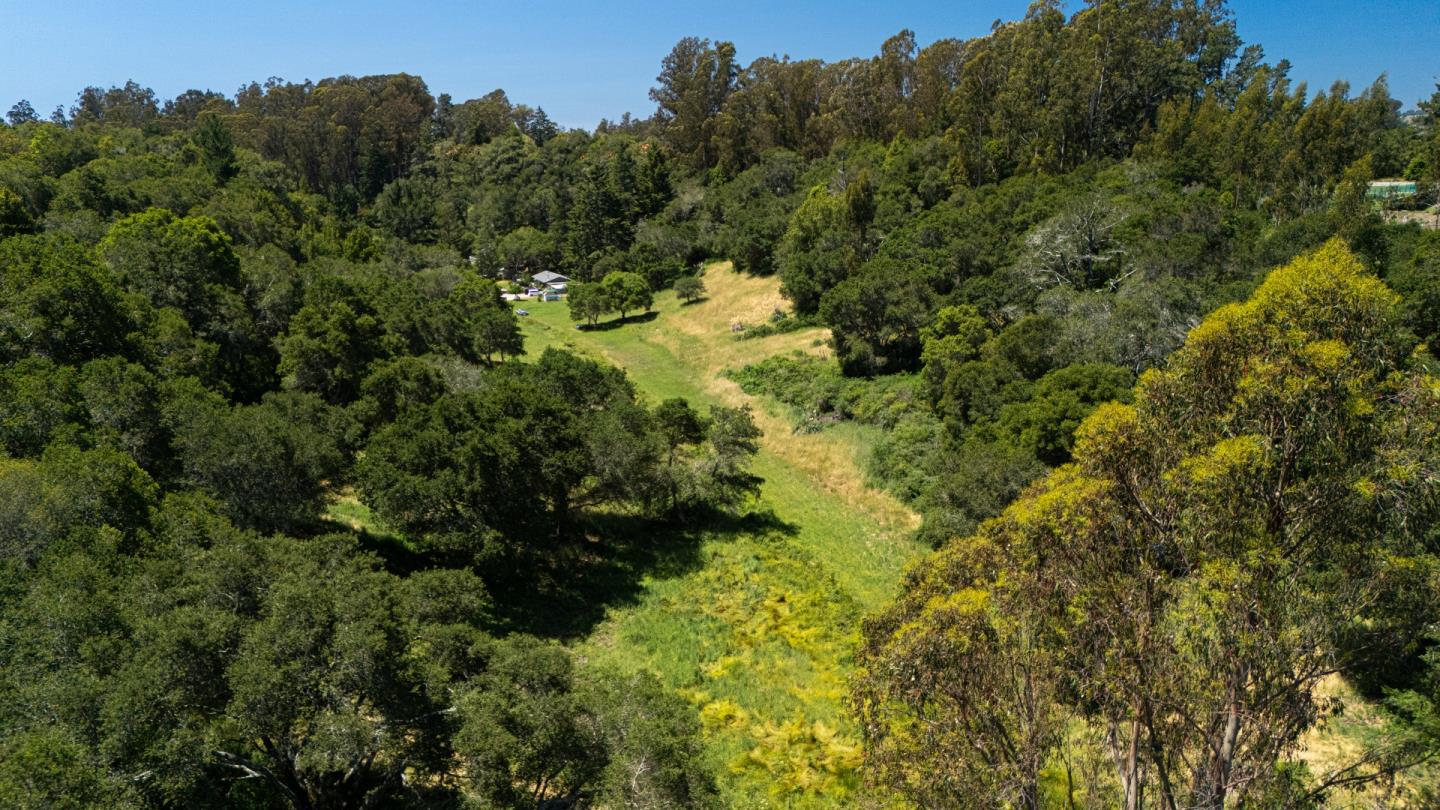 3554 Paul Sweet Road Santa Cruz, CA 95065 - Photo 8 of 30 a view of a forest with a house