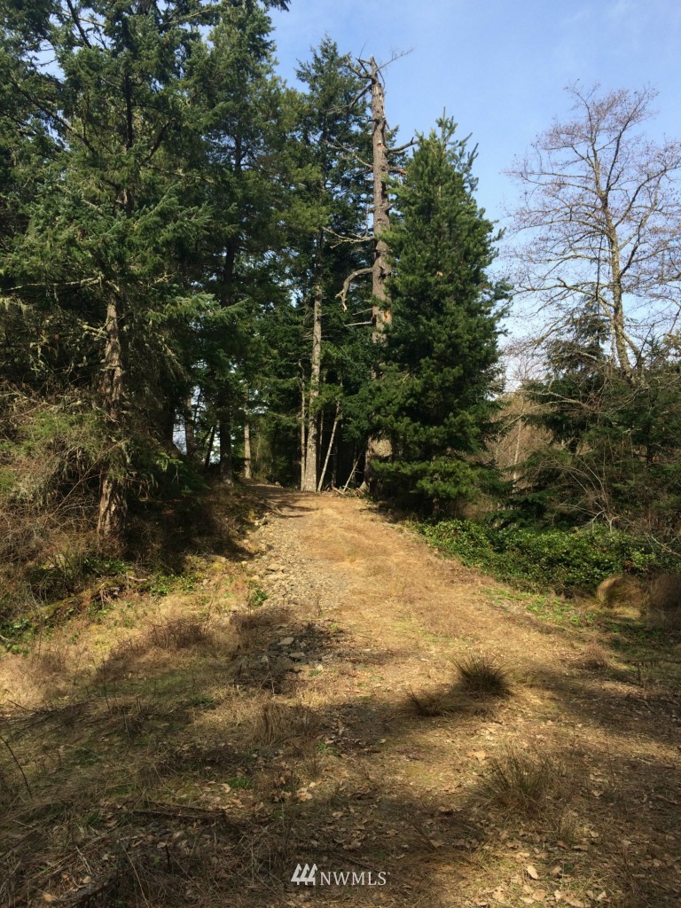 19 Eagle Ridge Road Orcas Island, WA 98245 - Photo 10 of 11 Gallery Image 10