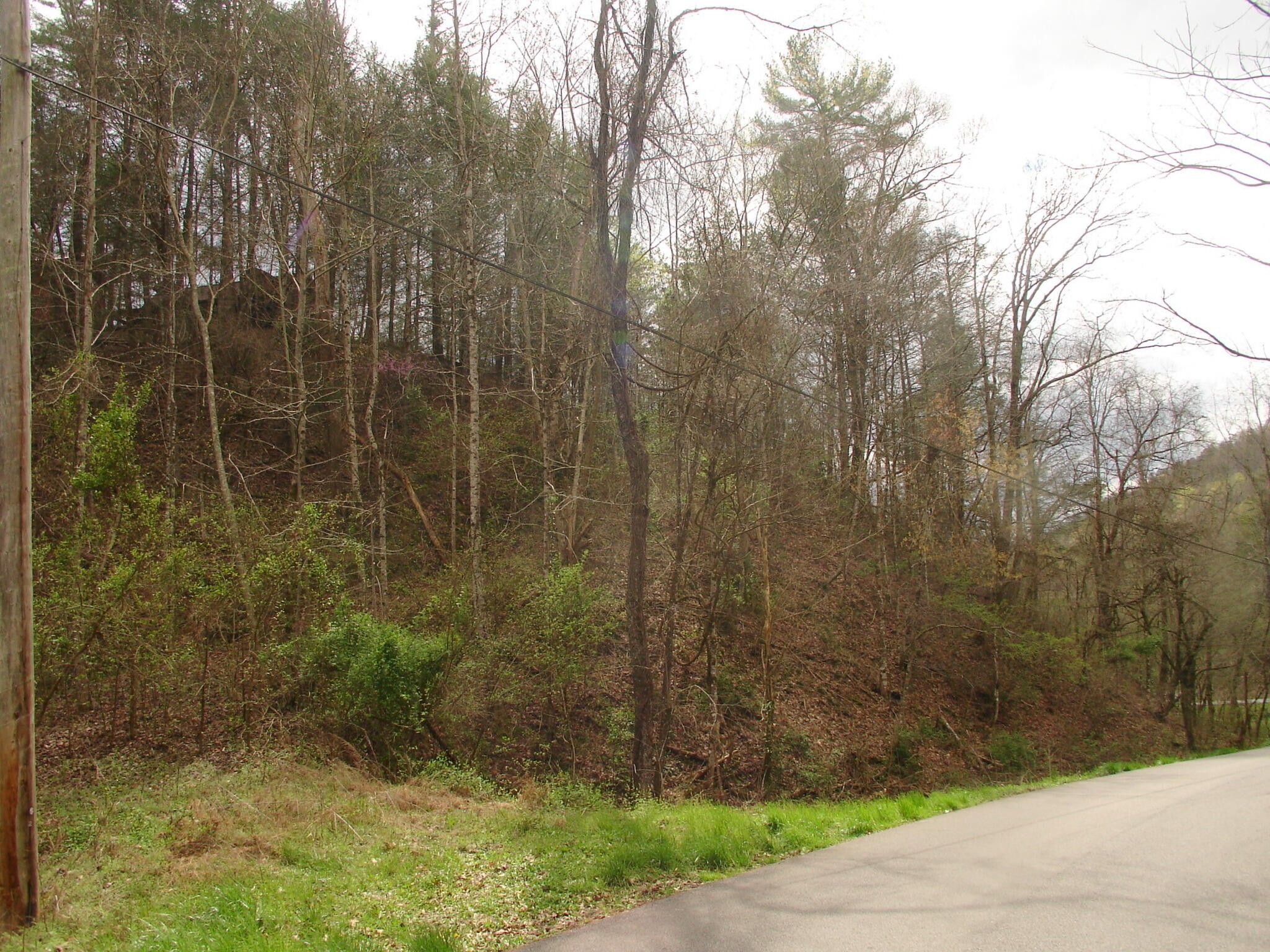 1 Jones Cove Road Sevierville, TN 37876 - Photo 9 of 12