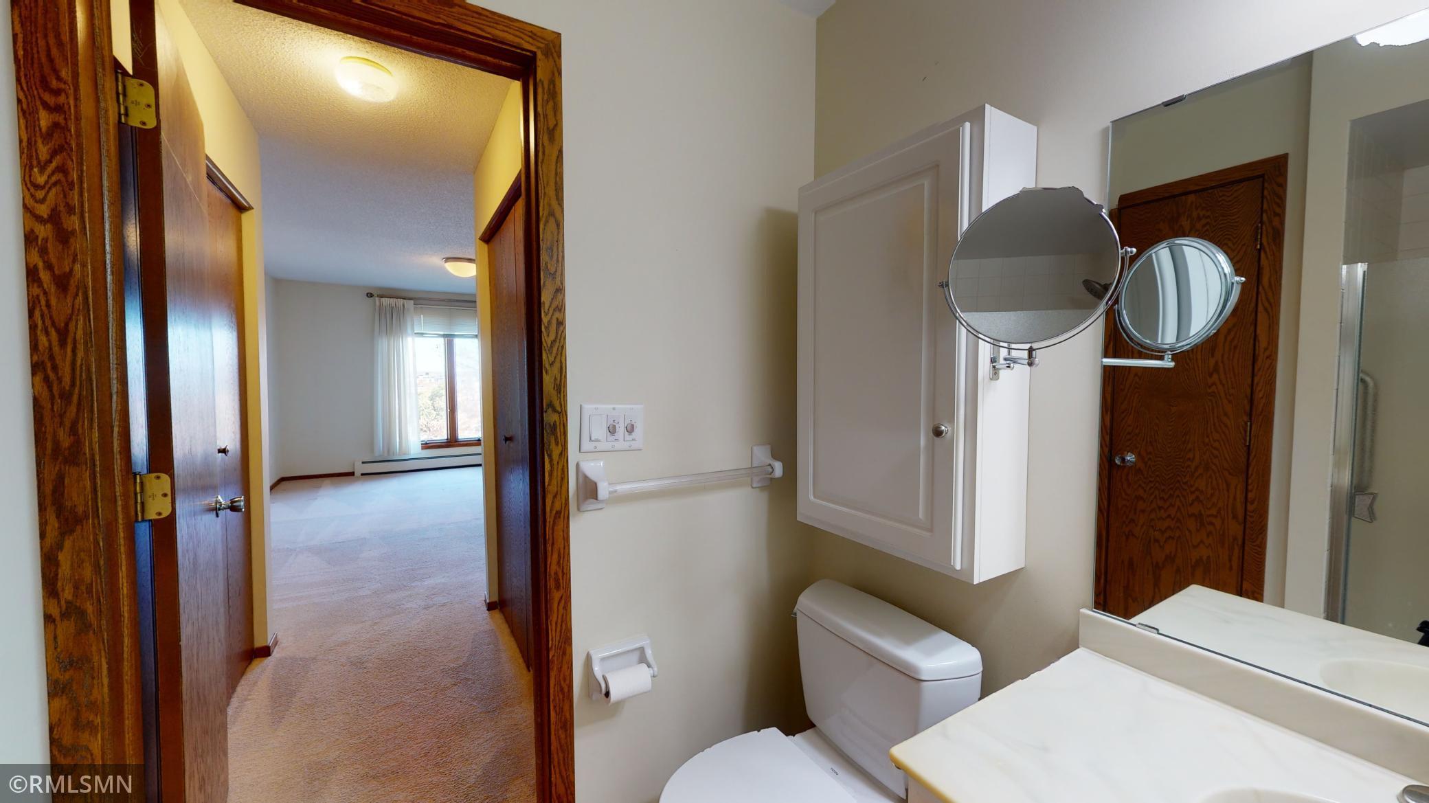 317 6th Avenue Southwest, Unit 302 Rochester, MN 55902 - Photo 15 of 29