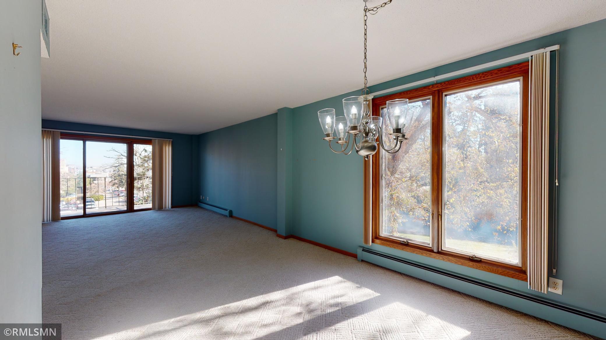 317 6th Avenue Southwest, Unit 302 Rochester, MN 55902 - Photo 6 of 29