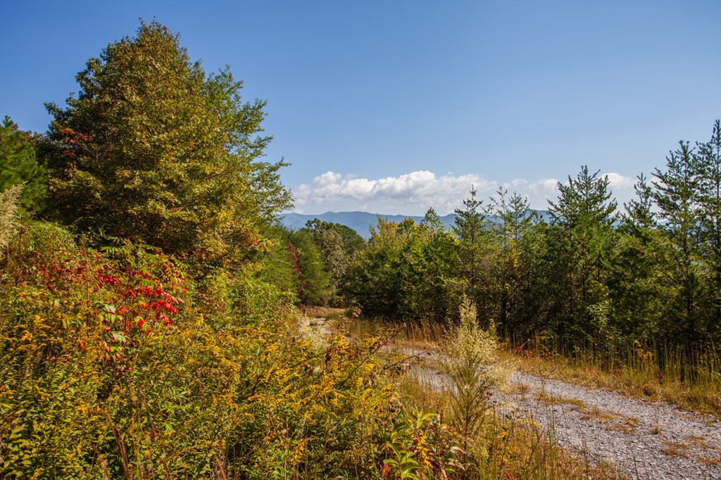 0 Mistletoe Ridge Murphy, NC 28906 - Photo 28 of 34