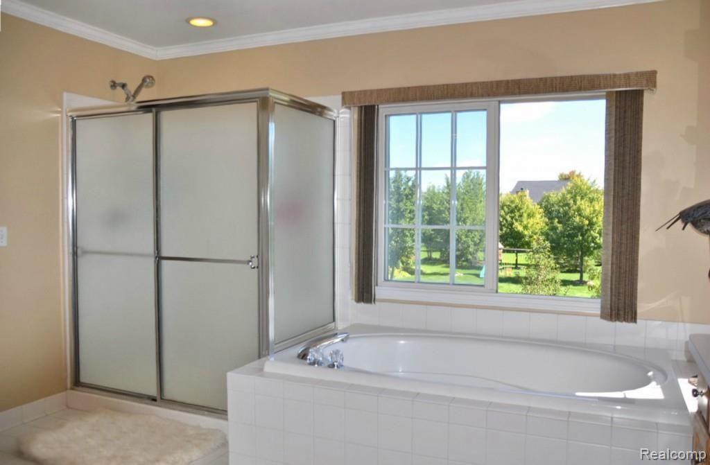 3120 Castleton Court Rochester, MI 48306 - Photo 22 of 40 Master Shower & Separate Tub