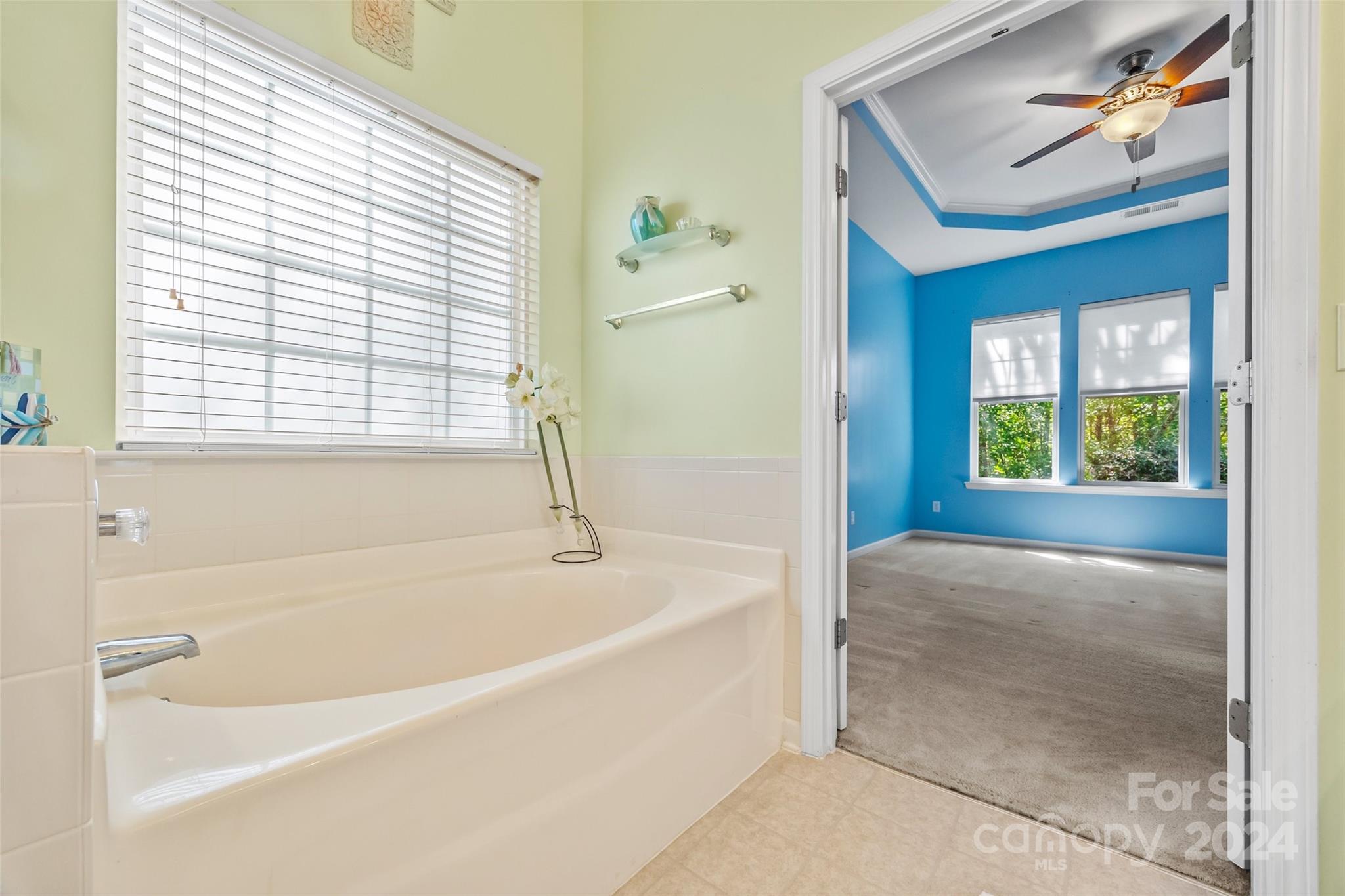 296 Sand Paver Way Fort Mill, SC 29708 - Photo 20 of 41 a white bath tub sitting next to a window