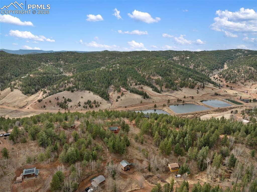 325 Willow Road Divide, CO 80814 - Photo 48 of 49